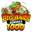big-bass-bonanza-1000.es favicon